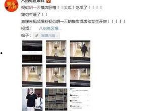 最新黑料热点爆料视频,视频爆料背后的惊人真相