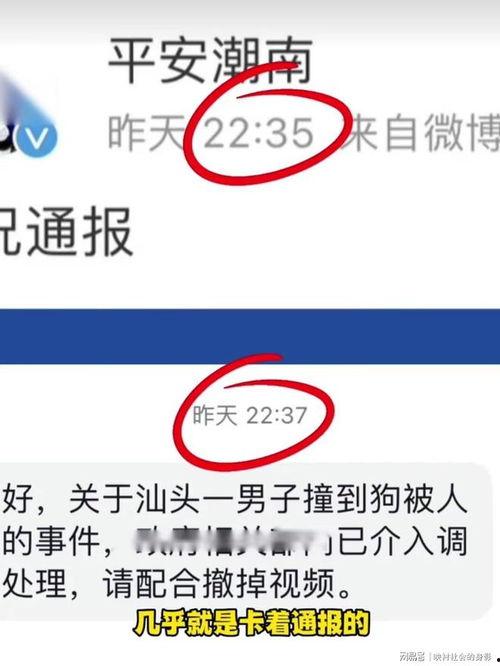爆料博主被撞视频大全,惊心动魄！爆料博主被撞现场视频大盘点  第1张